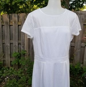 White Dress Size Large New York & Company